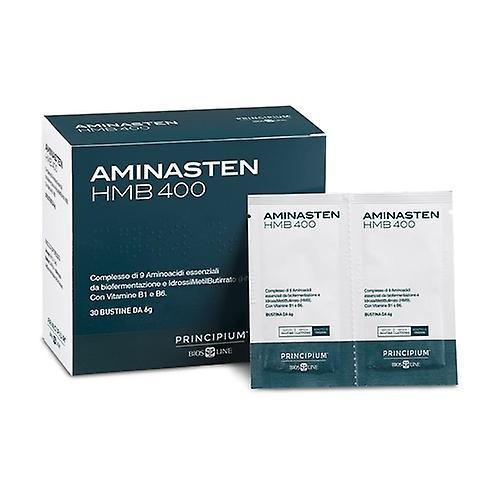 Principium aminasten hmb400 30 packets of 6g on Productcaster.