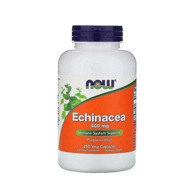 NOW Foods Echinacea BI6480 on Productcaster.