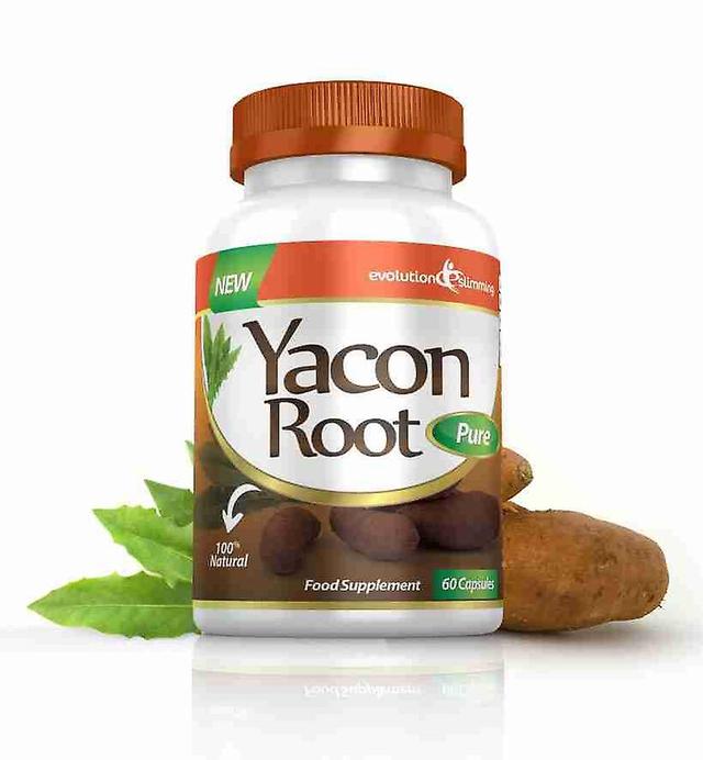 Yacon Root Pure 500mg - 60 Capsules - Fat Burner and Appetite Control - Evolution Slimming on Productcaster.