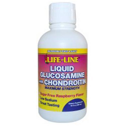 Nature's Blend Glucosamin / Chondroitin Max Strength Himbeergeschmack Flüssigkeit, 16 oz (Packung mit 1 Stück) on Productcaster.