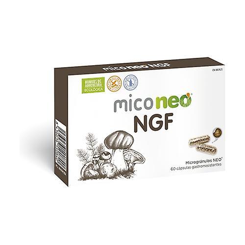 Mico Neo NGF 60 capsules on Productcaster.