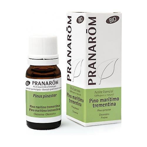 Pranarôm Organic maritime pine essential oil 10 ml of essential oil on Productcaster.