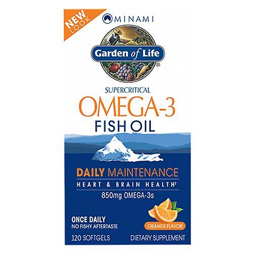 Minami Nutrition Minami Omega-3,850 mg,Orange Flavor, Family Pack 1 kit (Pack of 4) on Productcaster.