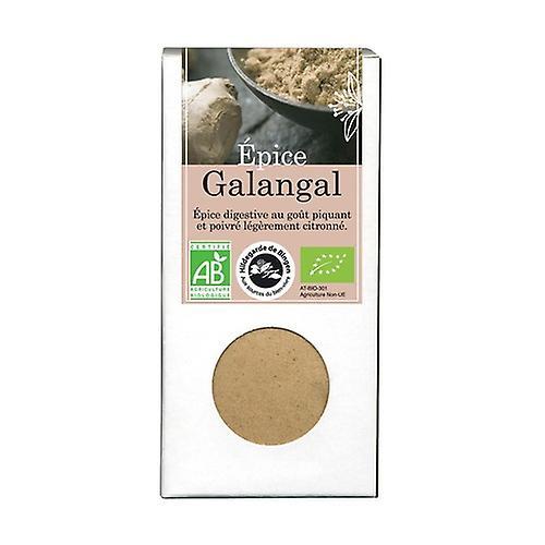 Aromandise Galangal Spice 35 g of powder on Productcaster.