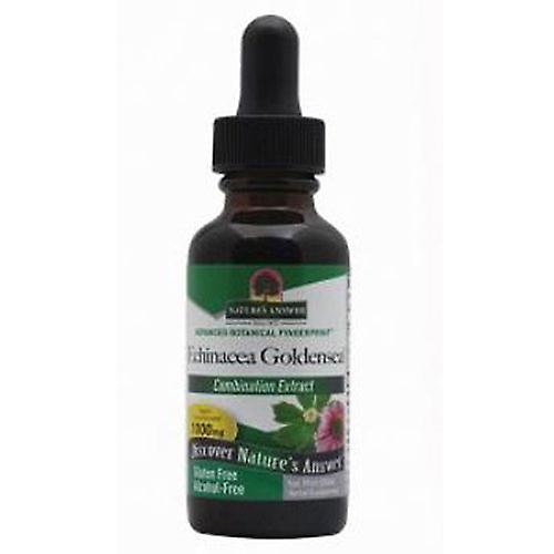 Nature's Answer Odpoveď prírody Echinacea-Goldenseal, ALKOHOL ZADARMO, 1 OZ (balenie po 4) on Productcaster.