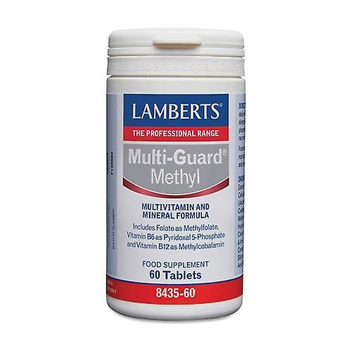 Lamberts Multi-guard methyl 60 tablets on Productcaster.