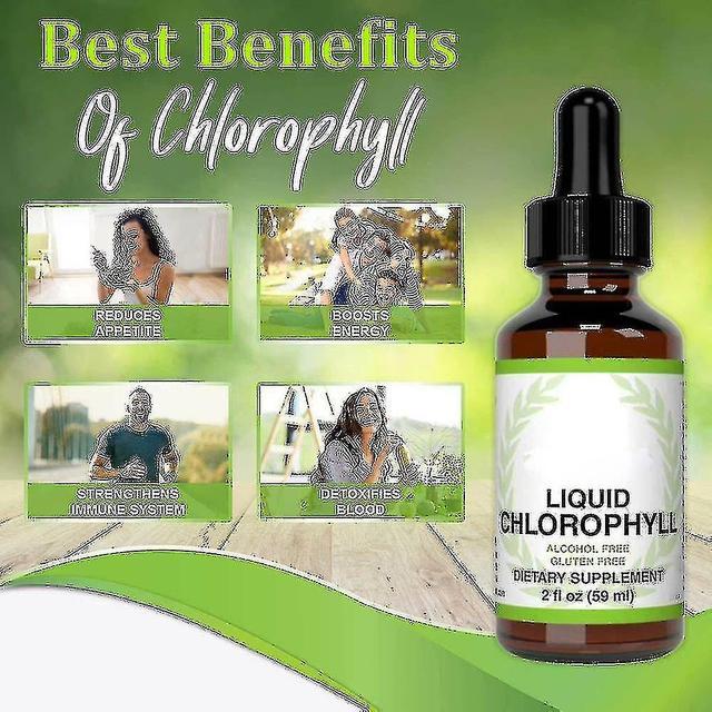 Chlorophyll All-natural Extract Liquid Drops Water Soluble Mint Flavour 59ml on Productcaster.