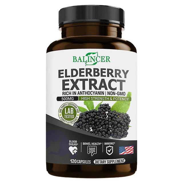 Vorallme Balincer Elderberry Extract With Vitamin C And Zinc Antioxidants Natural Immune Support, Blood Sugar Maintenance, Gut Health 120 count-1 b... on Productcaster.