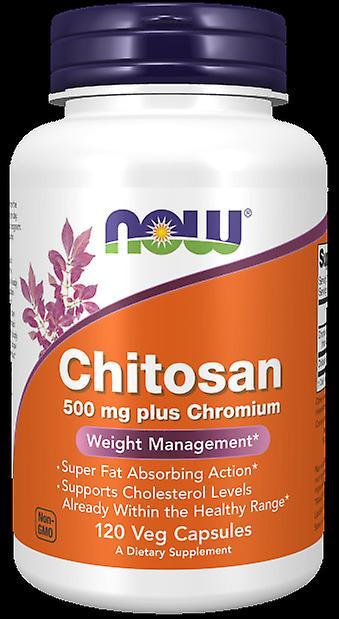 NOW Foods Nå Foods Chitosan Plus Chromium 500mg 120 kapsler on Productcaster.