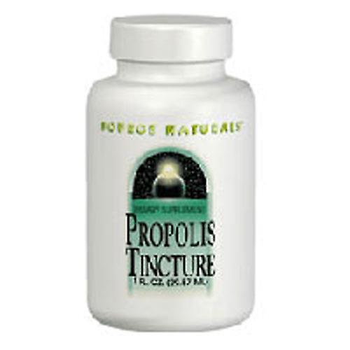 Source Naturals Fonte Naturals Propoli, Tintura 50% 1 Fl Oz (Confezione da 3) on Productcaster.