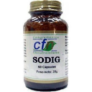 CFN Sodig 60 Lippis, on Productcaster.