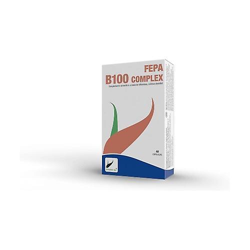 Fepa-b100 complex 40 capsules on Productcaster.