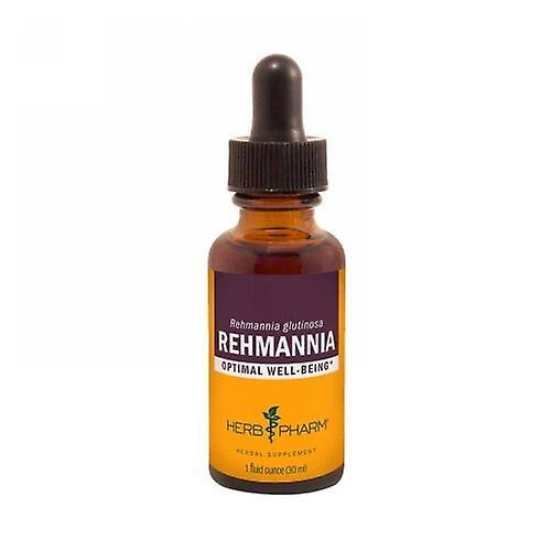 Herb Pharm Rehmannia Extract, 1 Oz (Pack of 1) on Productcaster.