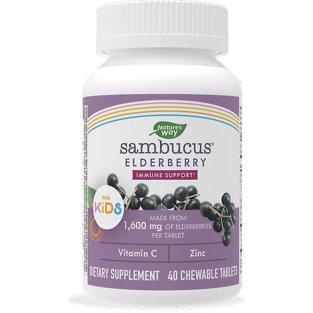 Nature's Way Nature's way , sambucus kids dagelijkse immuun kauwtabletten (40 tabletten) | esdoorn kruiden on Productcaster.