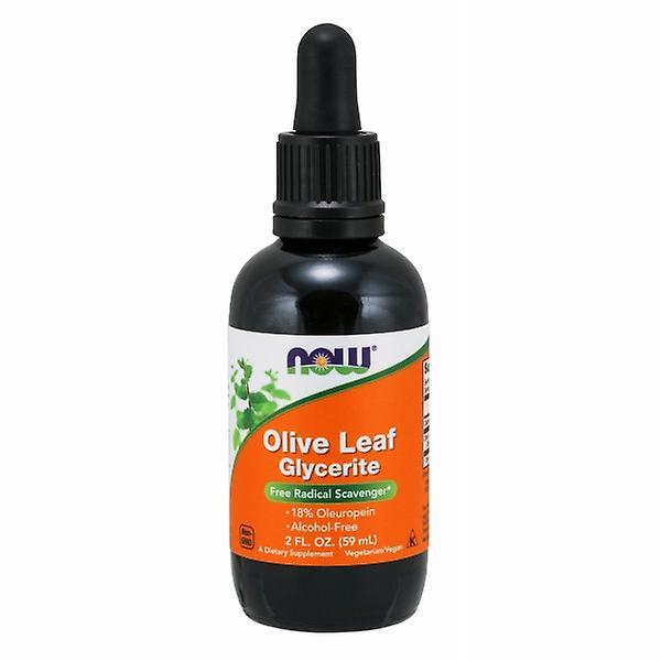 Now Foods Olive Leaf Glycerite, 2 OZ (Pak van 4) on Productcaster.