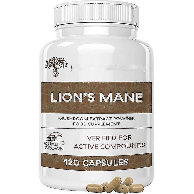 Mushroom Supplements - Lion's Mane, - 10 Mushroom Complex - Nootropic Brain Supplement For Memory And Focus on Productcaster.