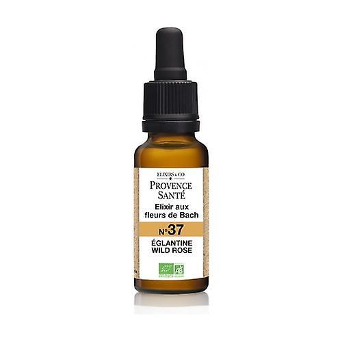 Provence Sante ORGANIC Eglantine 20 ml of floral elixir on Productcaster.