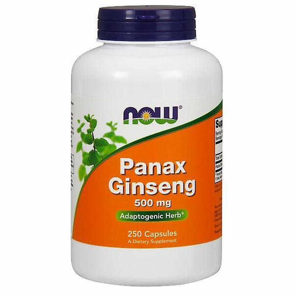 Now Foods Panax Ginseng, 500 mg, 250 Caps (Confezione da 6) on Productcaster.