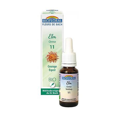 Biofloral Organic elm 20 ml of floral elixir on Productcaster.