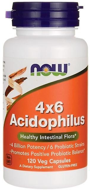 Now Foods Acidophilus 4X6 120 Capsules 733739029201 on Productcaster.