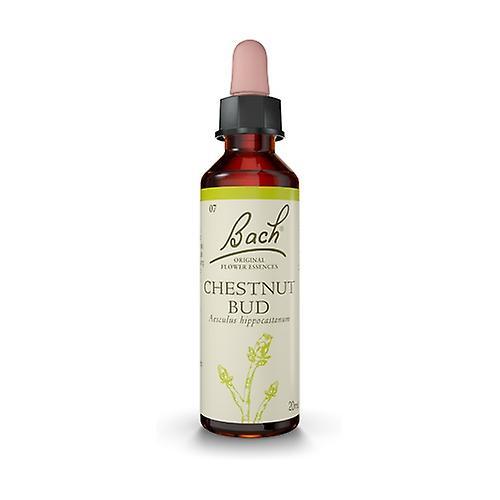 Bach Flower Essences 07 - Chesnut Bud 20 ml of floral elixir on Productcaster.