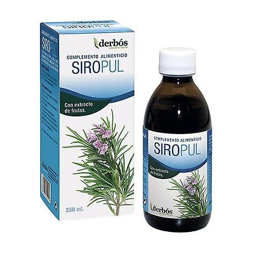 Derbós Siropul komfortný sirup dýchacieho systému 250 ml on Productcaster.