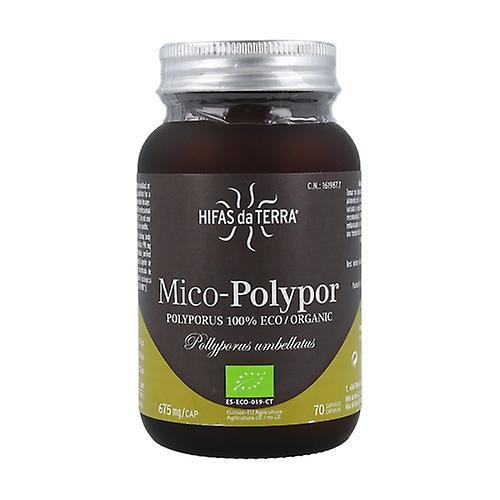 Hifas Da Terra Mico-Polypor 70 capsules on Productcaster.