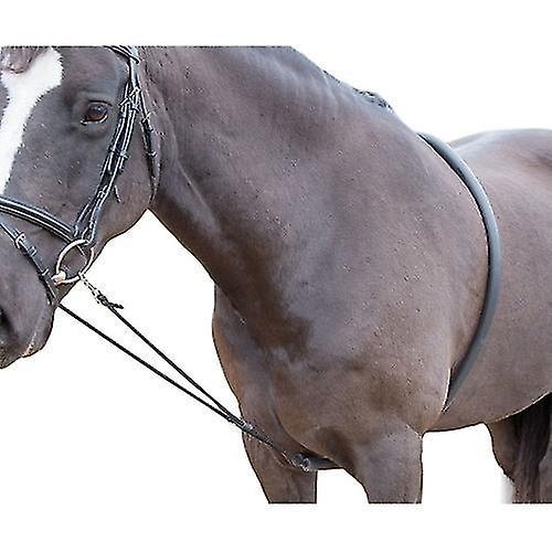 Ssdlv Shires Horse Lunging Aide on Productcaster.