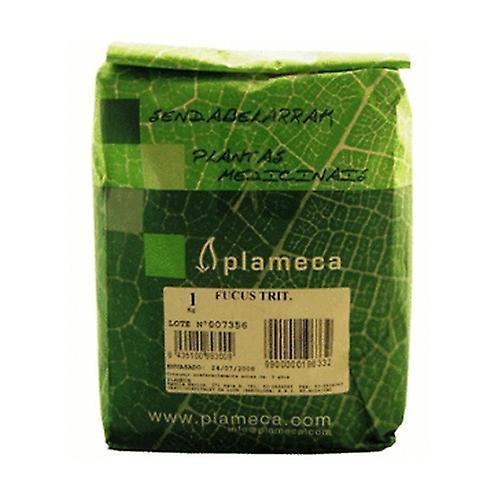 Plameca Nastrúhaná bylina Fucus 1 kg on Productcaster.