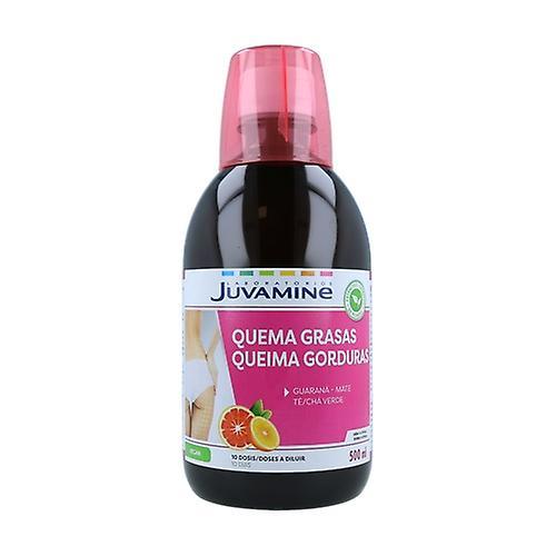 Laboratoires Juvamine Fat Burning Bottle 500 g (Green Tea - Mint) on Productcaster.