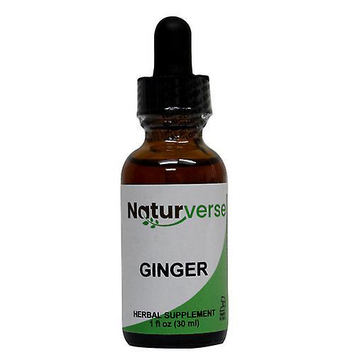 Naturverse Ginger Fresh Liquid Extract, 1 Oz on Productcaster.