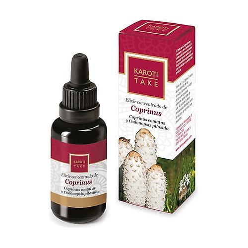 Hiranyagarba Karoti-take coprinus 30 ml of floral elixir on Productcaster.