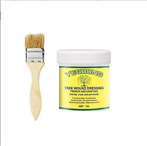 DeliaWinterfel Plant Tree Wound Cut Paste Smear Agent Pruning Compound 30g brush on Productcaster.