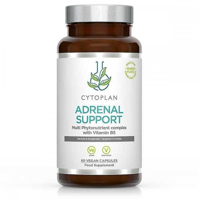 Cytoplan adrenal support 60's on Productcaster.