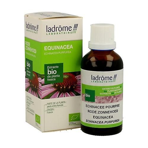 Ladrome Echinacea Bio Extract 50 ml on Productcaster.