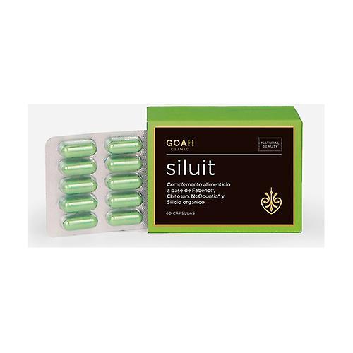 Goah Clinic Siluit 60 capsules on Productcaster.