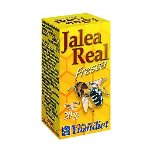 Ynsadiet Fresh Royal Jelly 20 g on Productcaster.