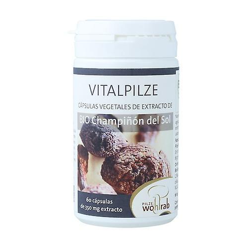 Pilze Wohlrab Mushroom of the Sun (Agaricus Blazei) 60 capsules on Productcaster.