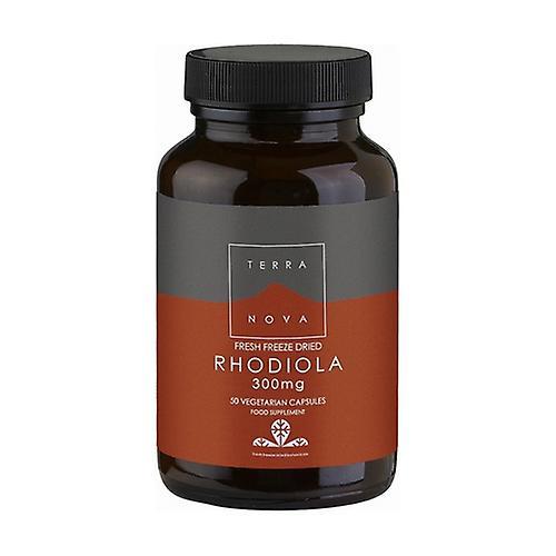 Terra Nova Rhodiola 300 mg 50 capsules on Productcaster.