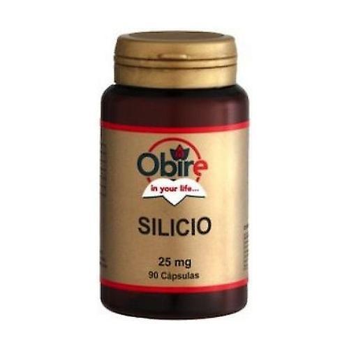 obire Silicon 90 capsules of 25mg on Productcaster.