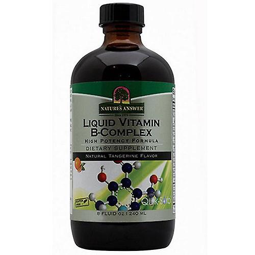 Nature's Answer Liquid Vitamin B Complex, Natural Tangerine, 8 oz (Pack of 3) on Productcaster.