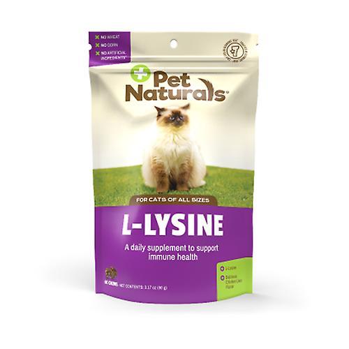 Pet Naturals of Vermont L-Lysine Chews for Cats, 60 chews (Pack of 1) on Productcaster.