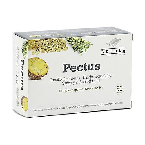 BETULA Pectus 30 capsules on Productcaster.