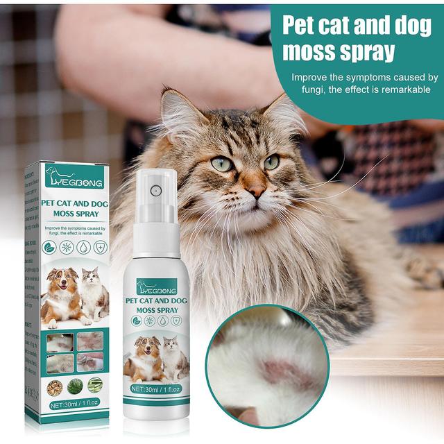 Yegbong Pet Skin Medicinal Spray, universal for cats and dogs, removes mites, skin itching, hair loss, redness, swelling and itching 30ml 1pc on Productcaster.