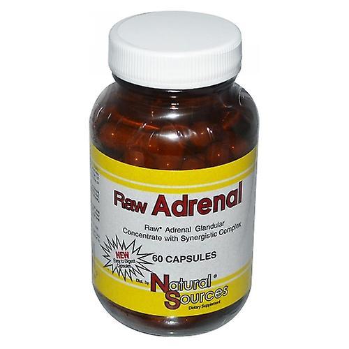 Natural Sources Raw Adrenal, 60 Caps (Pack of 3) on Productcaster.