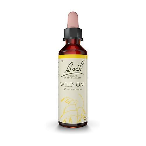 Bach Flower Essences 36 - Wild Oat 20 ml of floral elixir on Productcaster.