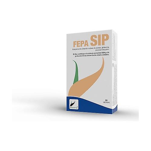 Fepa-Sip 60 capsules of 938mg on Productcaster.