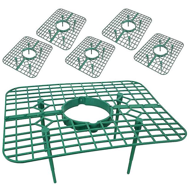 6pcs aardbeihouders aardbei ondersteunt aardbei groeien stands aardbeienrekken voor plant on Productcaster.