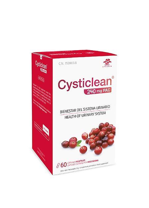 Cysticlean cysticlean 240mg pac (cranberry extract) 60's on Productcaster.