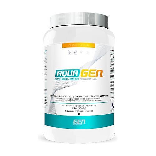 Gen Professional Aquagen orange flavor 1 kg of powder (Orange) on Productcaster.